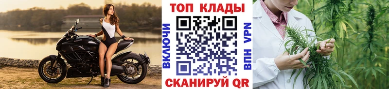 Как найти наркотики Жуковка Псилоцибиновые грибы  COCAIN  АМФ  Мефедрон  ГАШИШ 