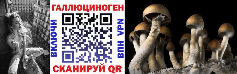Галлюциногенные грибы Cubensis  купить  цена  Жуковка 